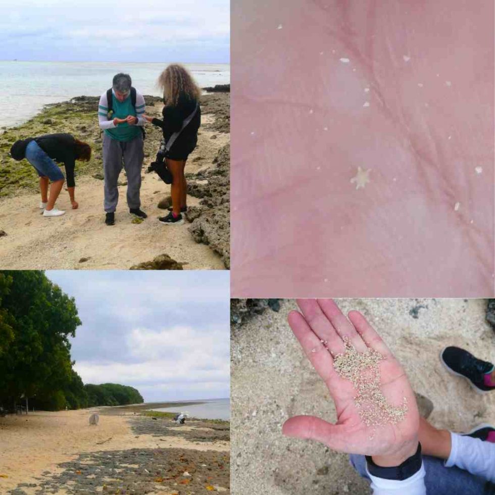 buceo en japon estrellas