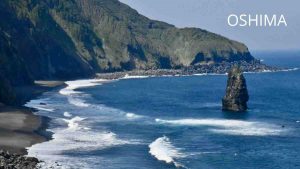 OSHIMA IZU TIBURÓN MARTILLO BUCEO EN JAPÓN