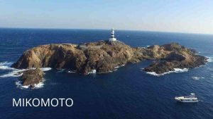 MIKOMOTO TIBURÓN MARTILLO BUCEO EN JAPÓN