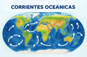 kuroshio buceo en Japón