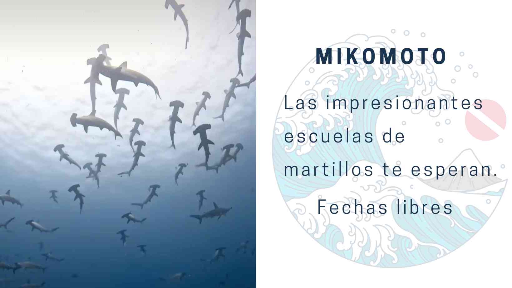 mikomoto buceo en Japón