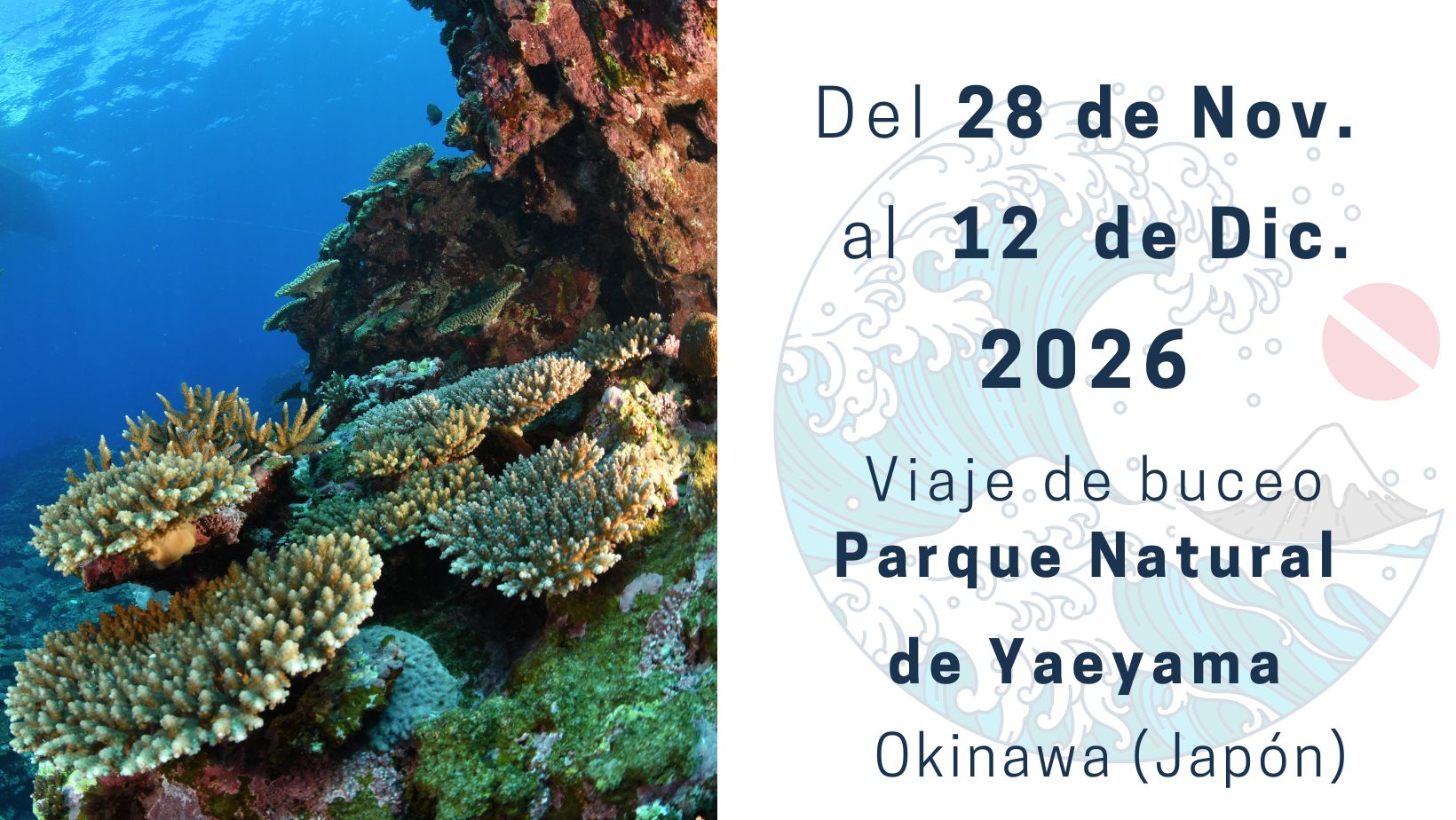 diciembre 2026 buceo en Japón