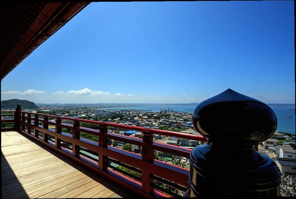 tateyama ito sharkscramble buceo en Japón