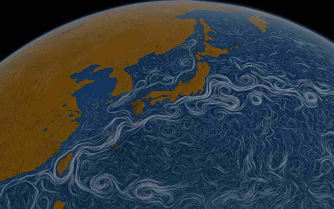 Kuroshio: la corriente marina que transforma el buceo en Japón