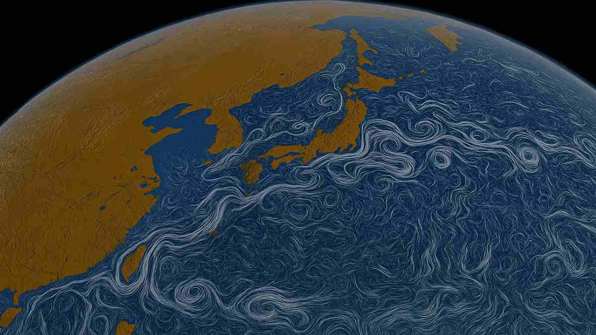 kuroshio buceo en Japón kuroshio buceo en Japón