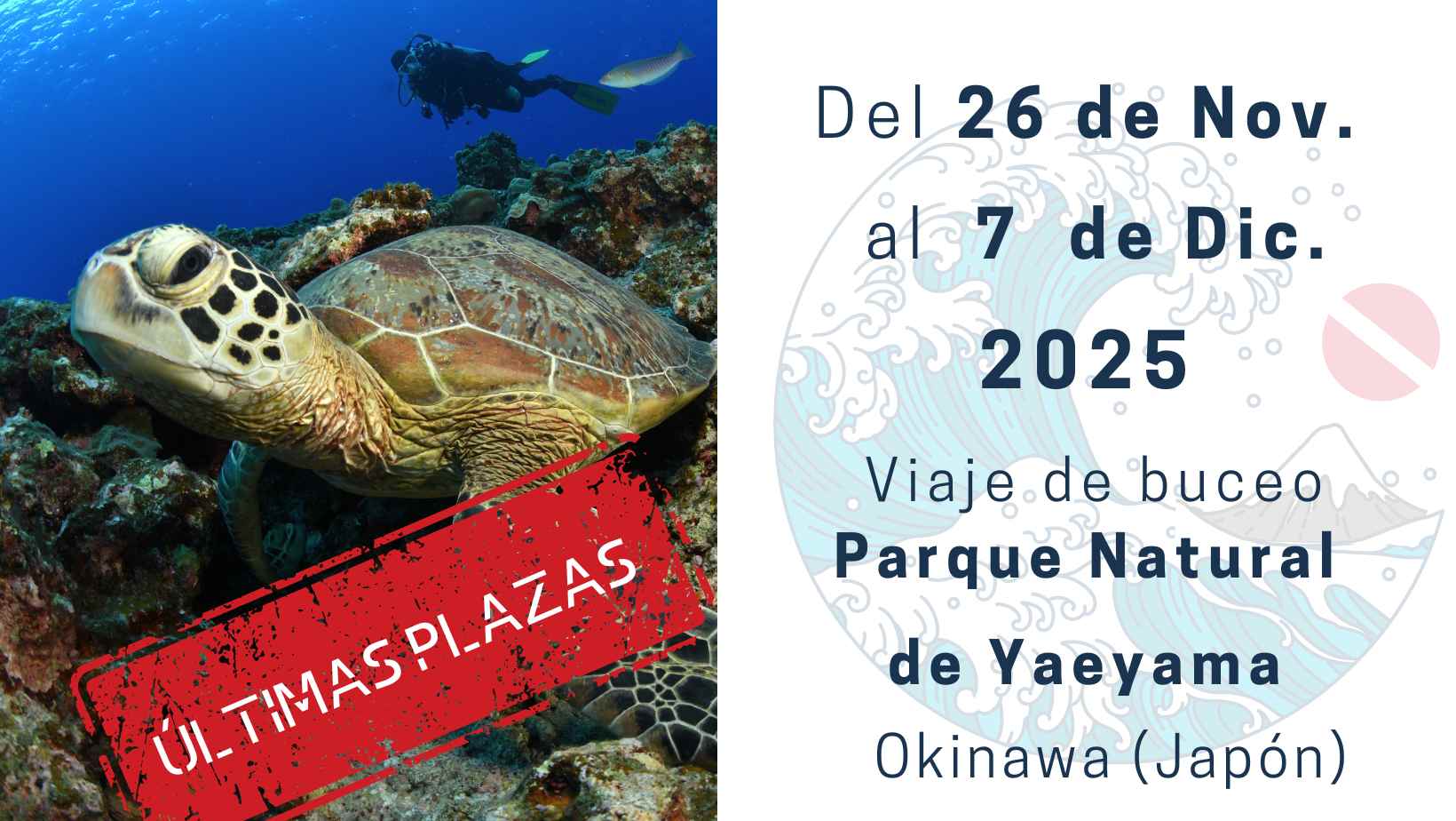 Buceo en Japón noviembre 2025