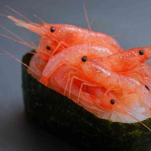 sakura buceo en japón