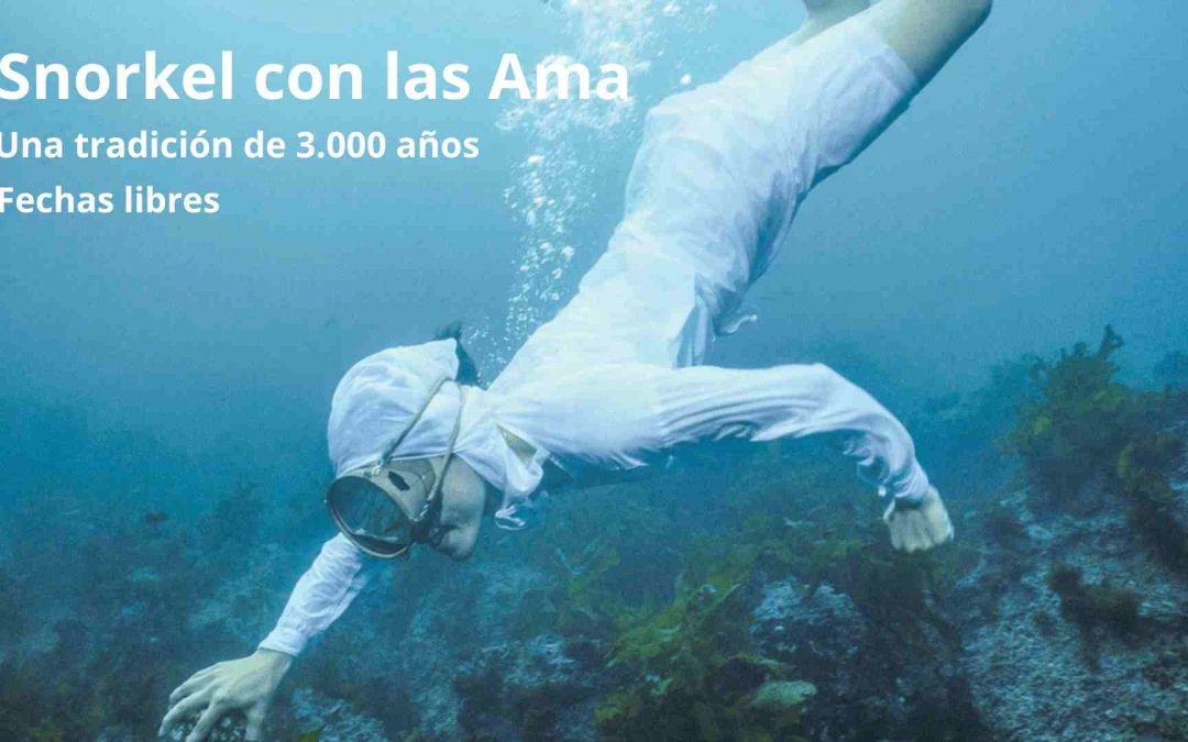 Snorkel con las AMA: recolectoras de ostras en Ise-shima