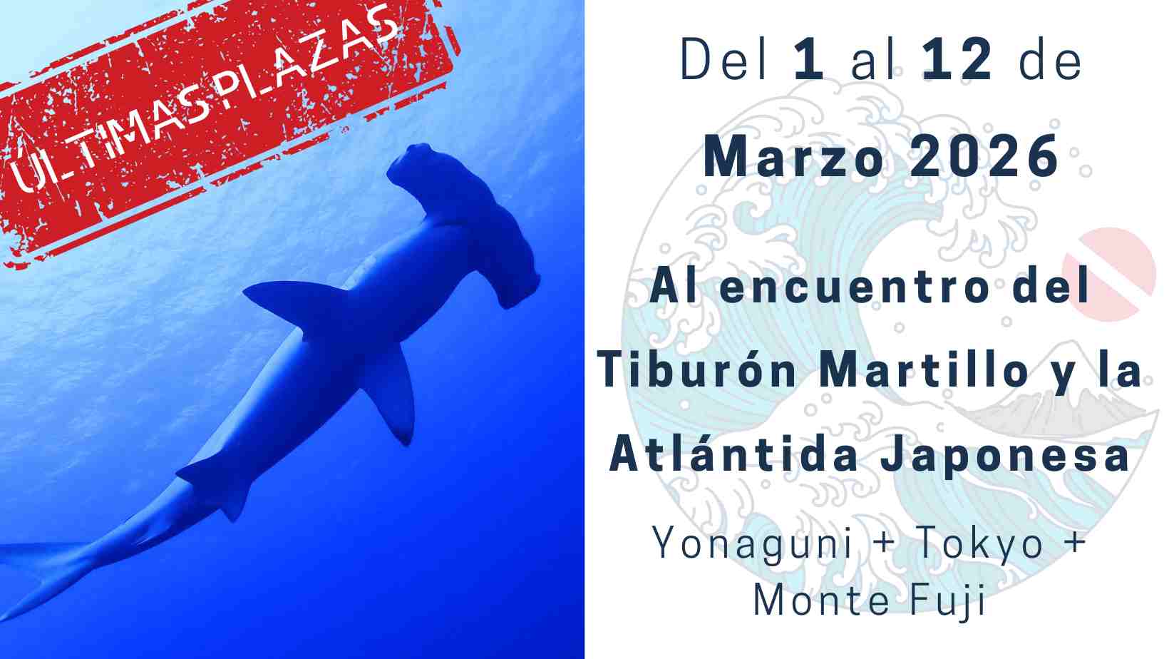 yonaguni buceo en Japon