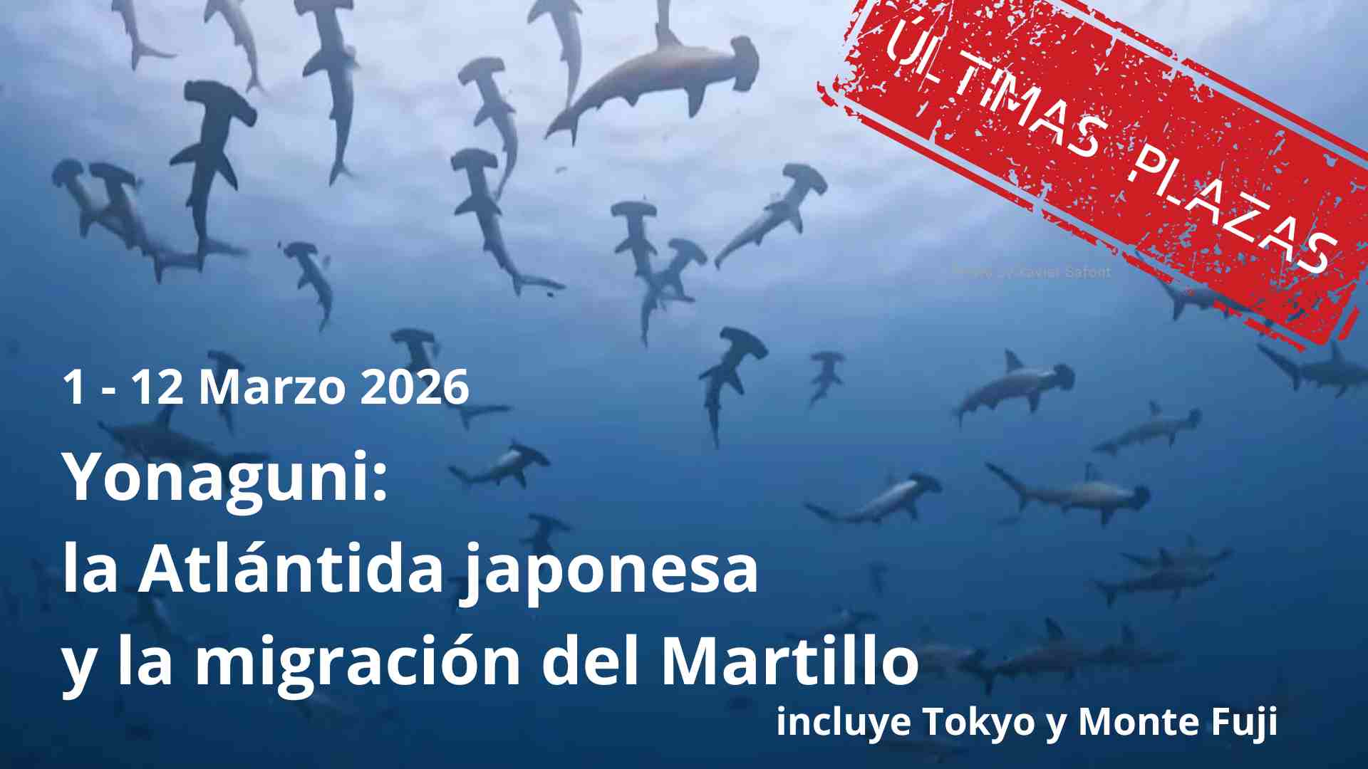BUCEO EN JAPÖN BUCEO EN JAPÖN