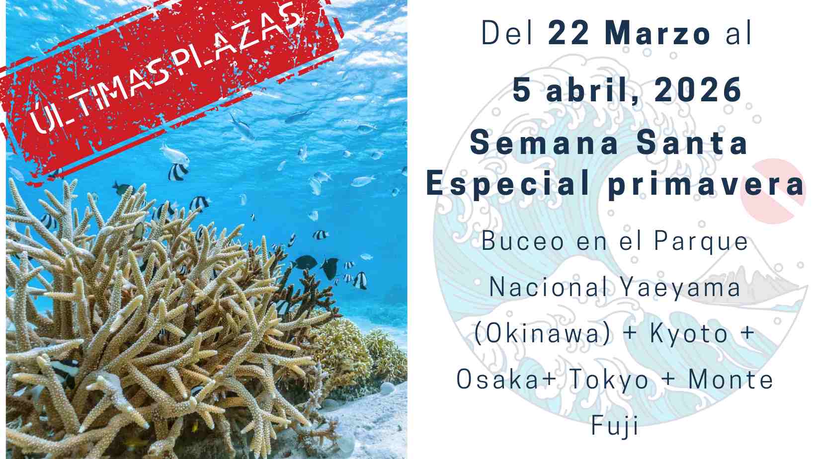 okinawa buceo en Japón