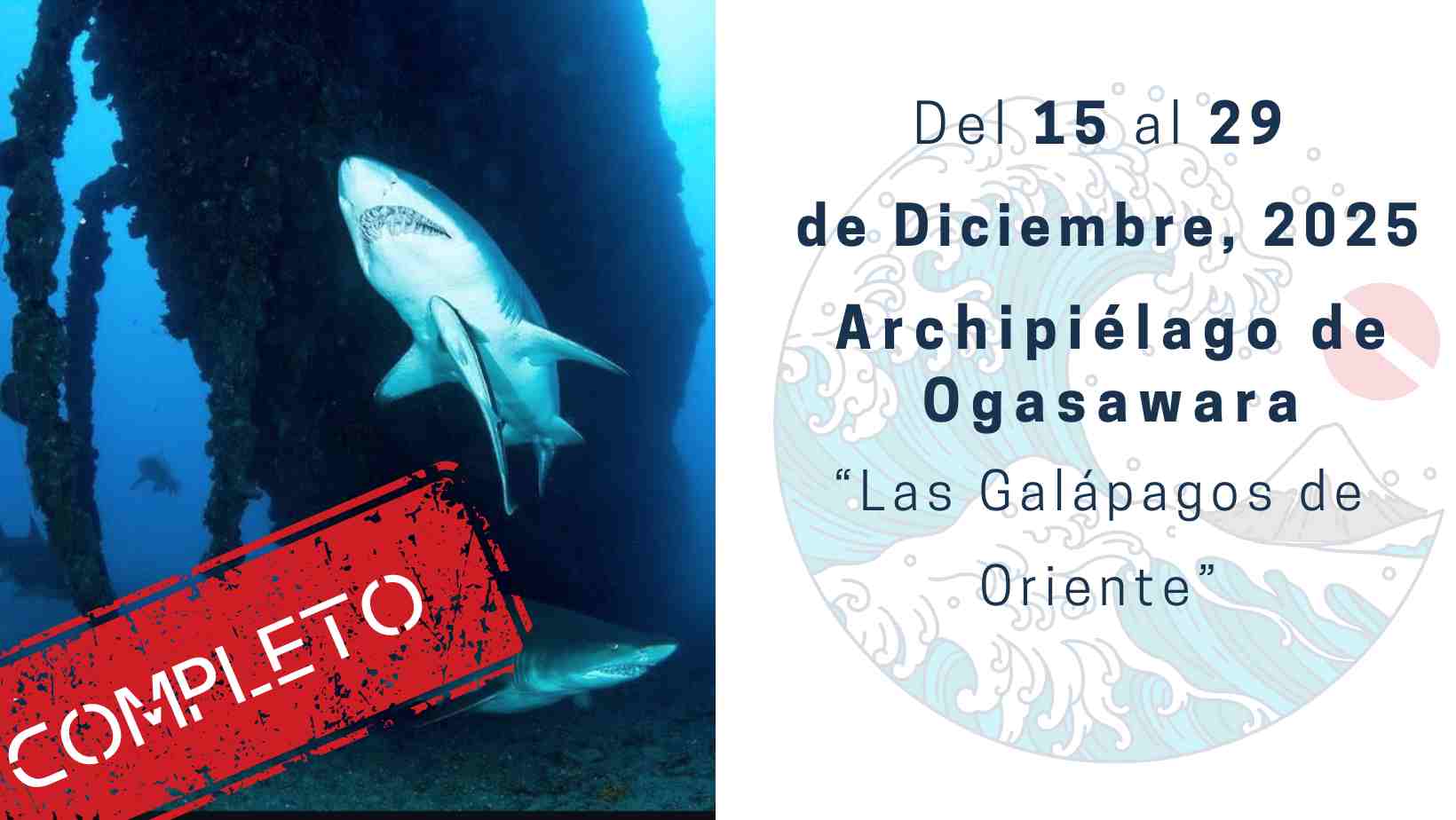 ogasawara buceo en Japon