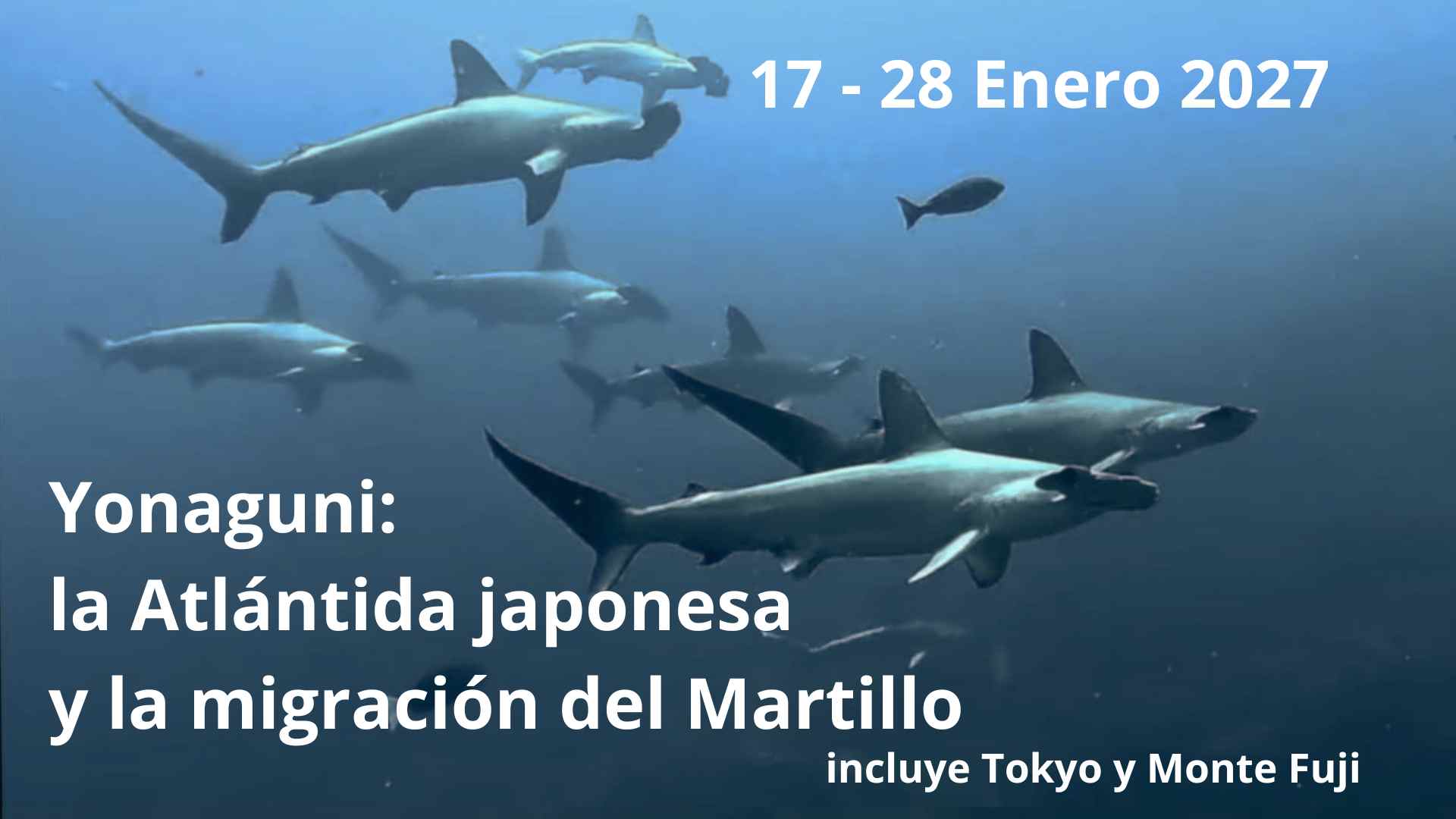 yonaguni 2027 buceo en Japón