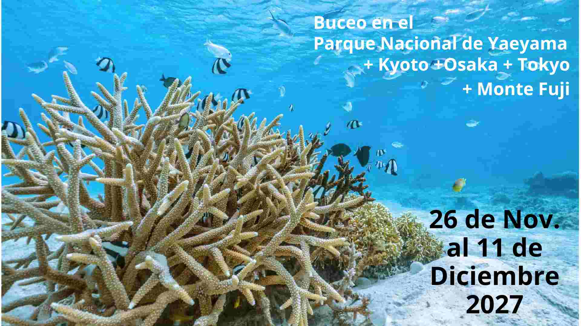 okinawa 2027 buceo en Japón