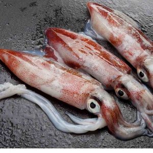 toyama buceo en japón