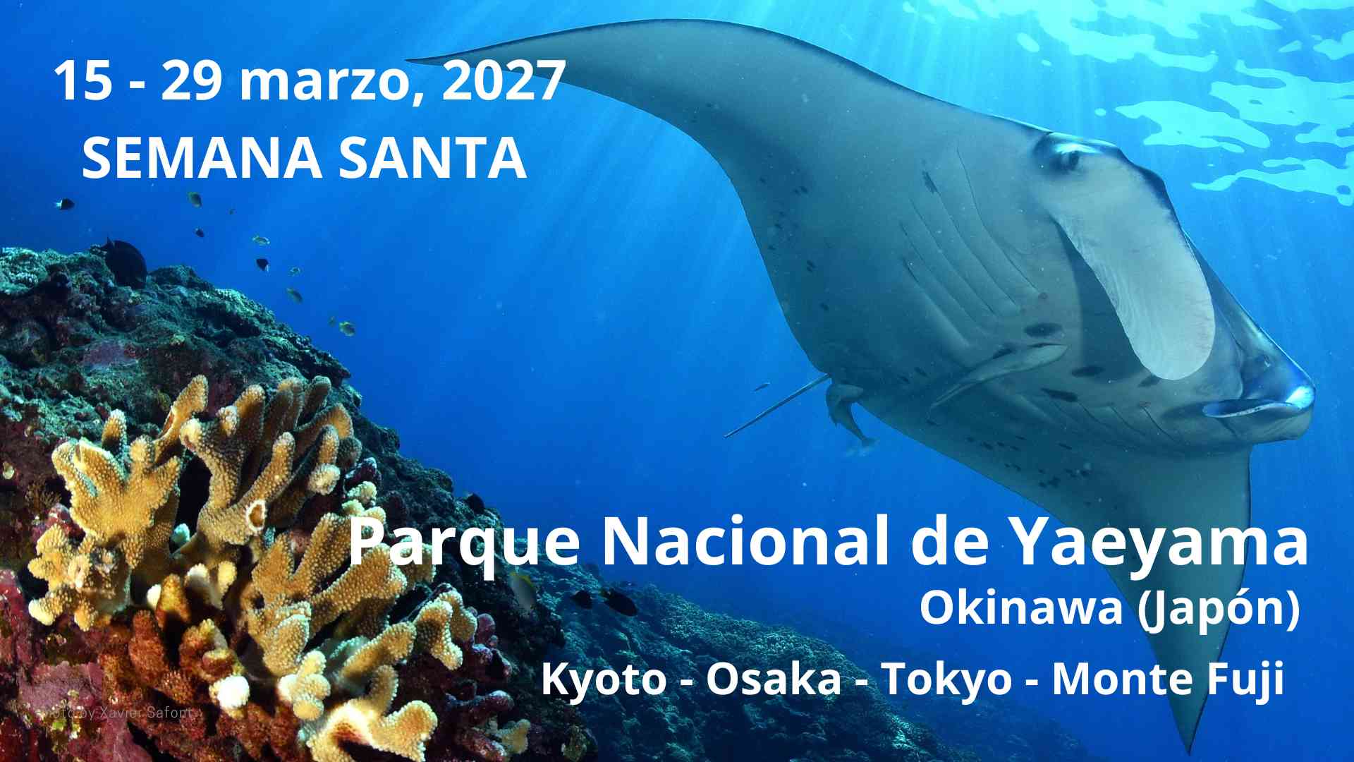 ishigaki semana santa 2027 buceo en Japon