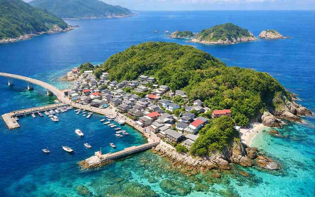 Kashiwajima: donde el océano desborda vida