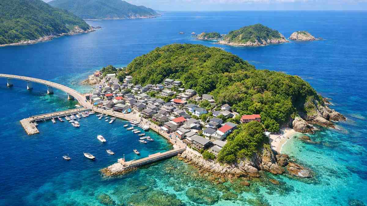 kashiwajima buceo en japón