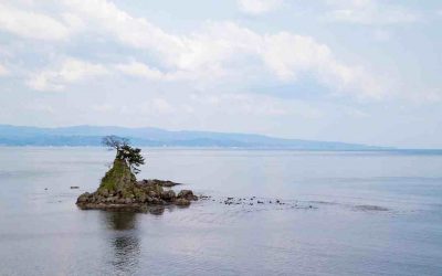 Toyama: donde el océano guarda secretos gigantes