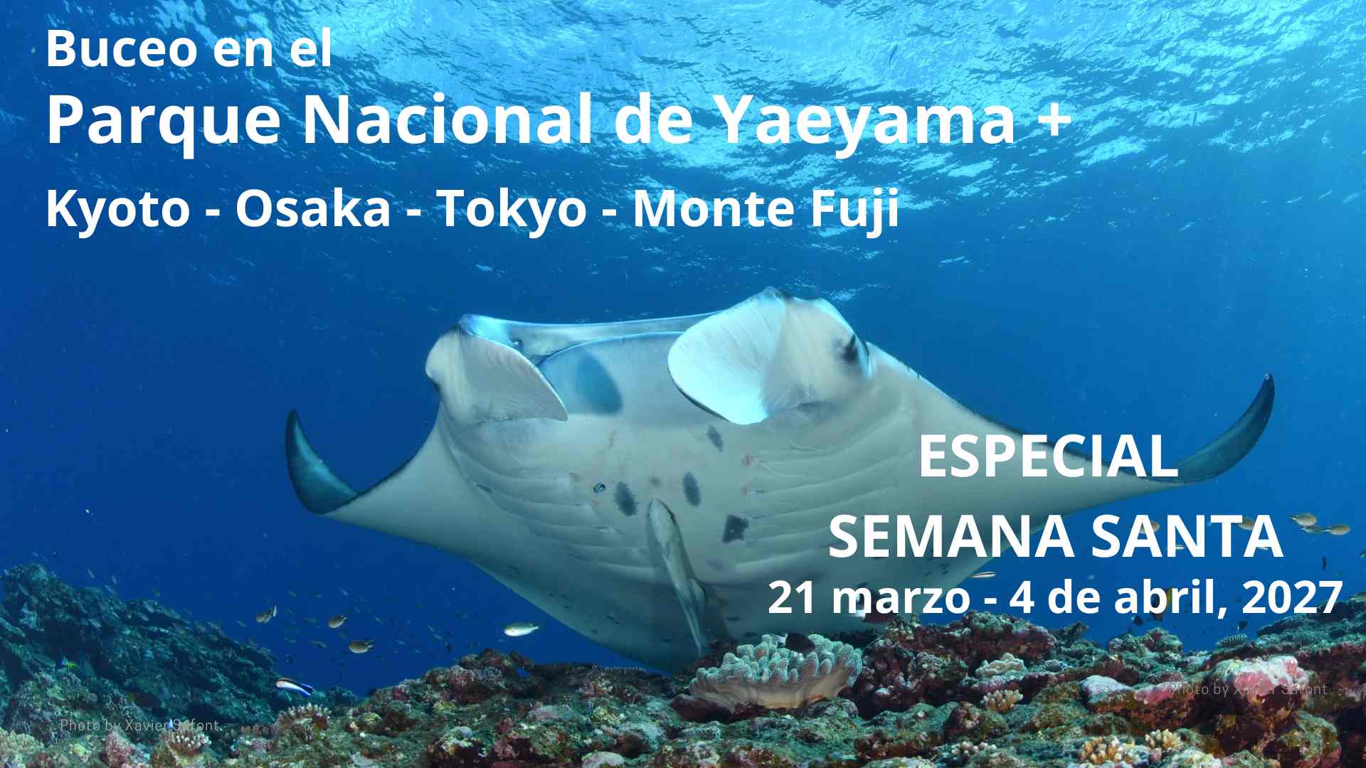 Ishigaki semana santa 2027 buceo en japón