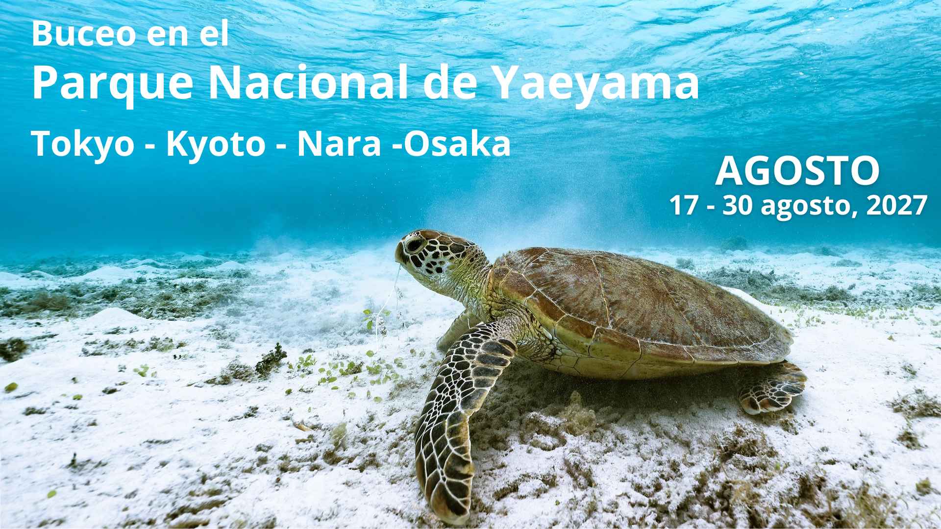 AGOSTO 2027 BUCEO EN JAPON