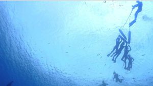 snorkel buceo en japón