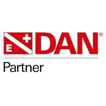 Dan